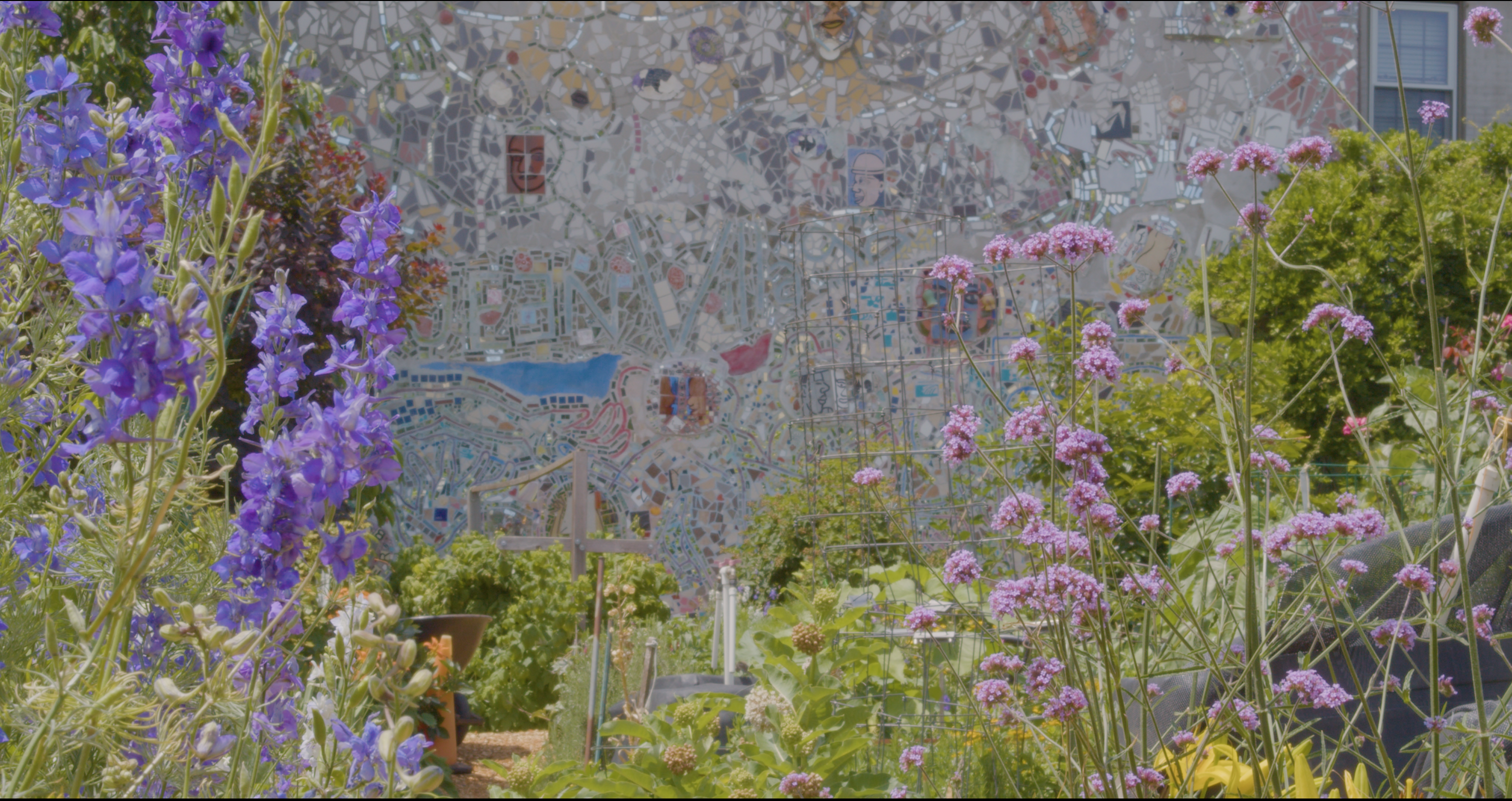 Law in Bloom
